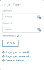 Login Window